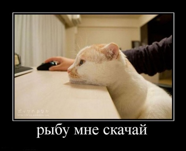 image001.jpg