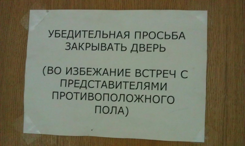 .jpg