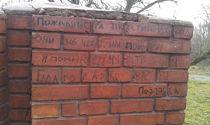 IMAG0160_1.jpg (499.28 Кб) Просмотров: 19850 IMAG0160_1.jpg