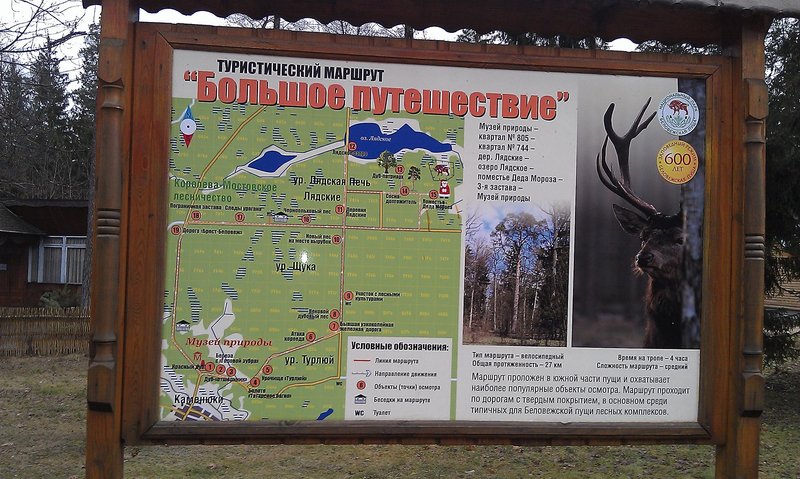 IMAG0169_1.jpg