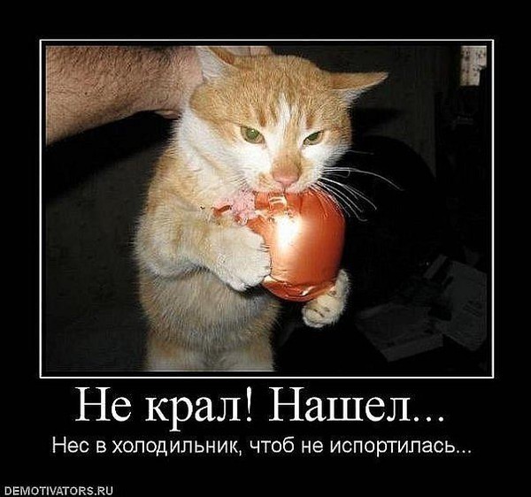  с колбасой.jpg