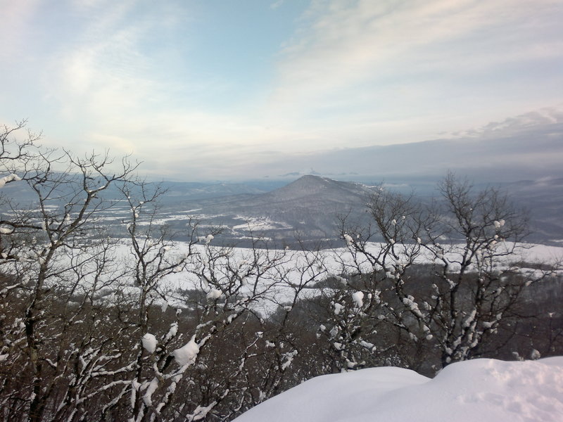 250120121863.jpg