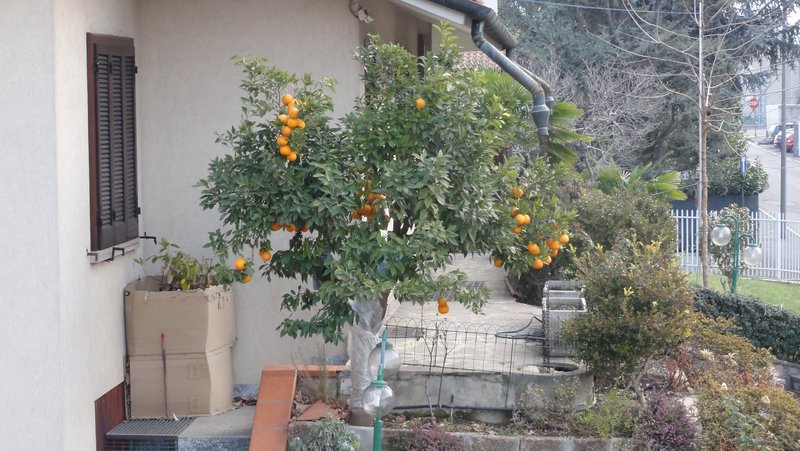 DSC01934.JPG (1.7 Мб) Просмотров: 28541 DSC01934.JPG