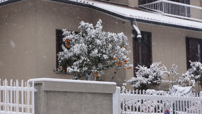 DSC01980.JPG (1.61 Мб) Просмотров: 28532 DSC01980.JPG