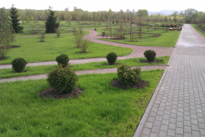 IMAG1309.jpg