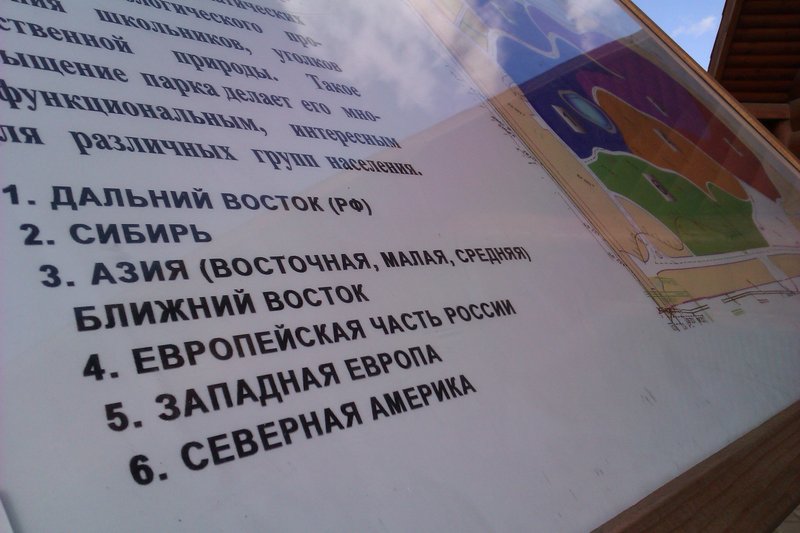 IMAG1314.jpg