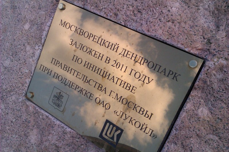 IMAG1305.jpg