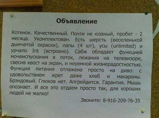 .jpg