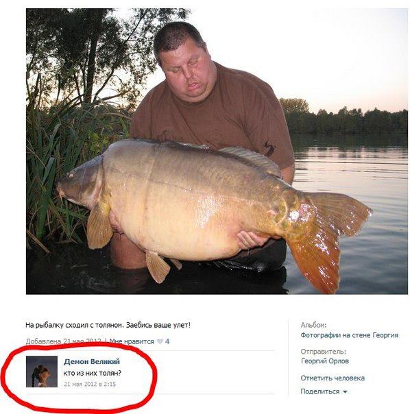 .jpg