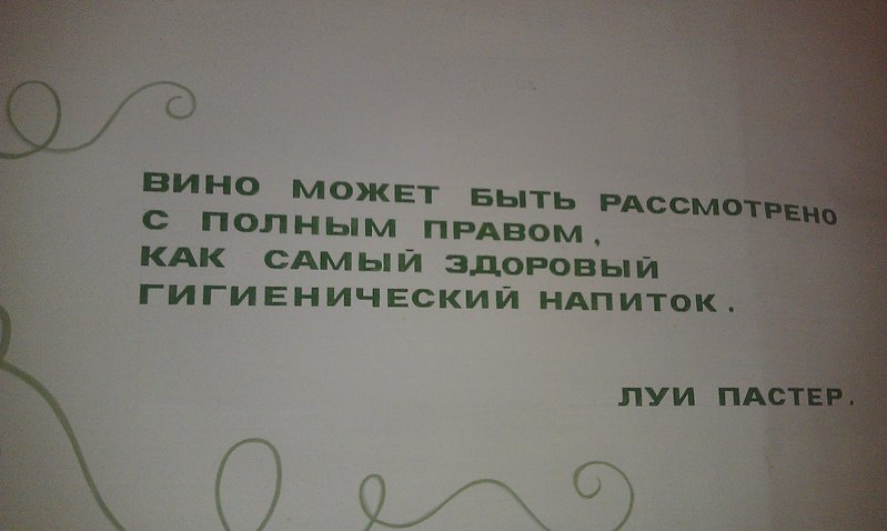 IMAG0385.jpg