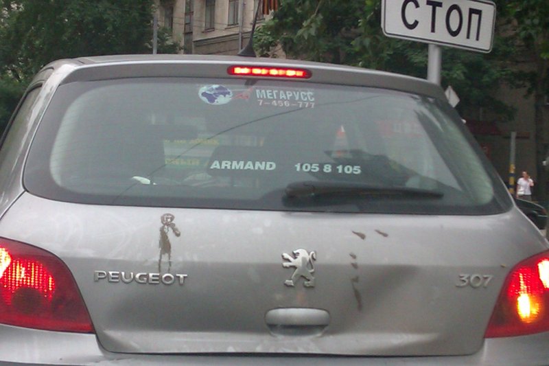 IMAG1665.jpg