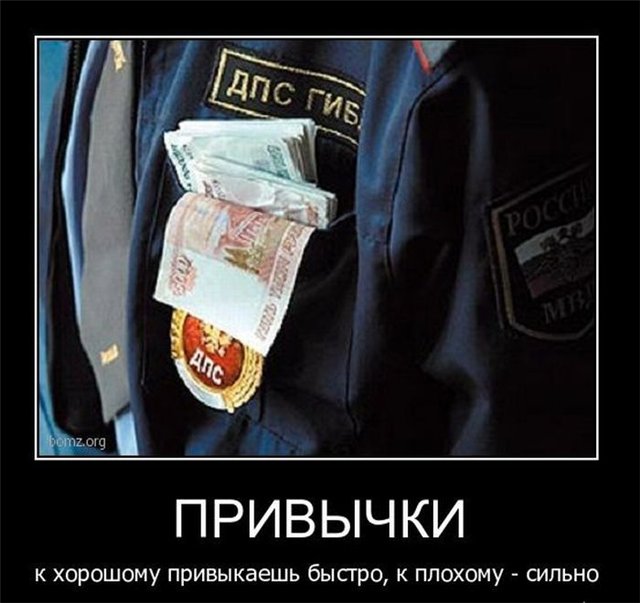 075a43547dd0.jpg