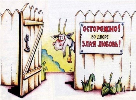  любовь.jpg