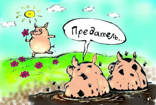  картинки.jpg