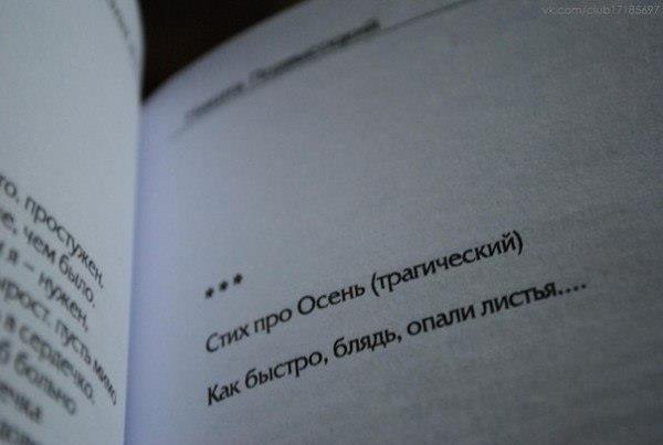  листья.jpg