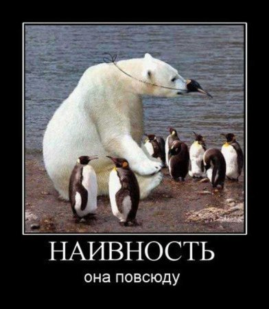 1326013509_prikyanvardem-015.jpg