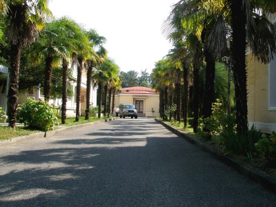 P7140368.jpg (761.95 Кб) Просмотров: 18143 P7140368.jpg