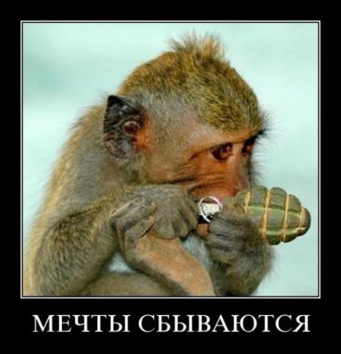  сбываются.jpg
