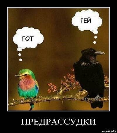 x_7e027db2-wjv7y.jpg