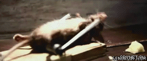 .gif