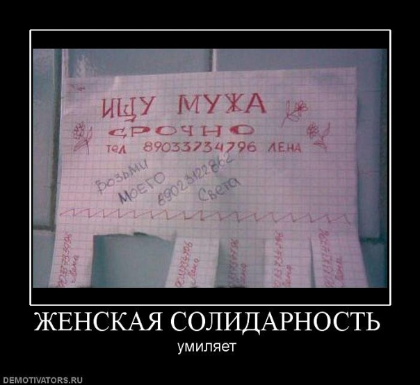  солидарность.jpg