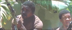.gif